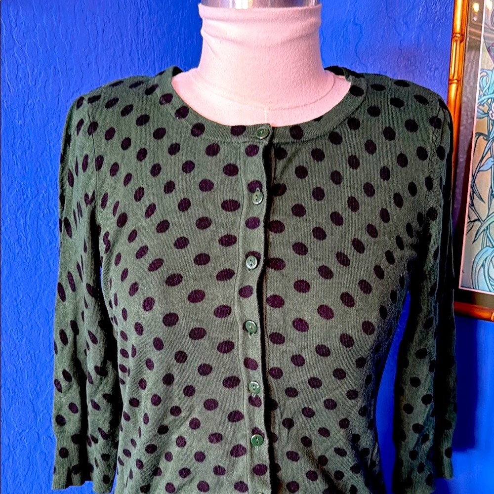 Green with black polka dot sweater